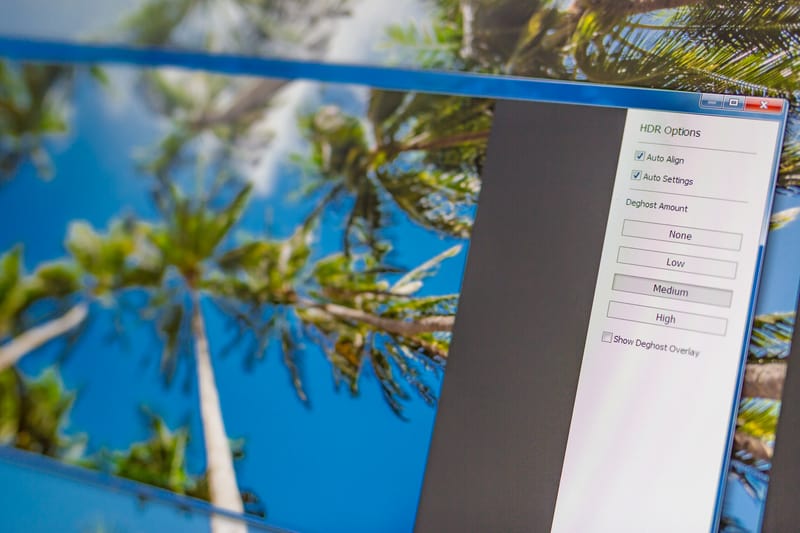 Image editing software showing palm trees